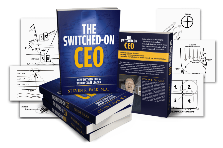 The Switched-On CEO book